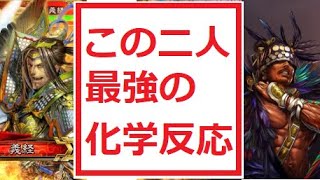 【三国志大戦】最強コンビ！このコンビくそつえぇぇぇぇーーー！【新カード】