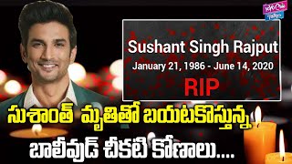Actress Shraddha Das About Sushant Singh Rajput's Death | Bollywood Latest News | YOYO Cine Talkies