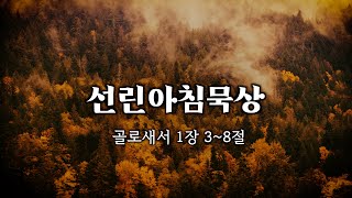 【아침묵상】 골로새서 1장 3~8절