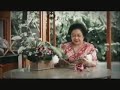 Iklan PDI PERJUANGAN 2010