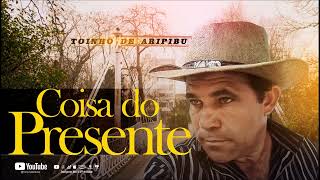 Toinho de Aripibu - Coisa do Presente