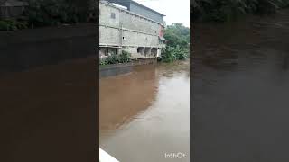 വീണ്ടും മഴക്കാലം വരവായി.മീനച്ചിലാർ കര കവിയുന്നു #shorts #entertainment