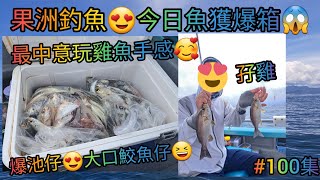 【香港艇釣精華】X 第100集-果洲釣魚魚獲Vlog｜今日魚獲爆箱｜極多池魚大口鮫魚仔｜多雞魚｜烏絲｜䱛｜瓜衫｜雜魚｜30-07-2023 #釣魚 #香港釣魚 #釣魚分享