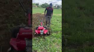 Honda Power Weeder FJ500 is indeed one of the best power weeders available in the market, and its ❤️