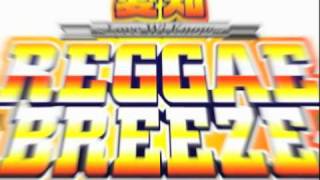 愛知REGGAE BREEZE 2010 8月28日（土）開催決定! CF