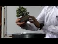 【bonsai live】北谷養盛園所有の盆栽を紹介　bonsai showcase