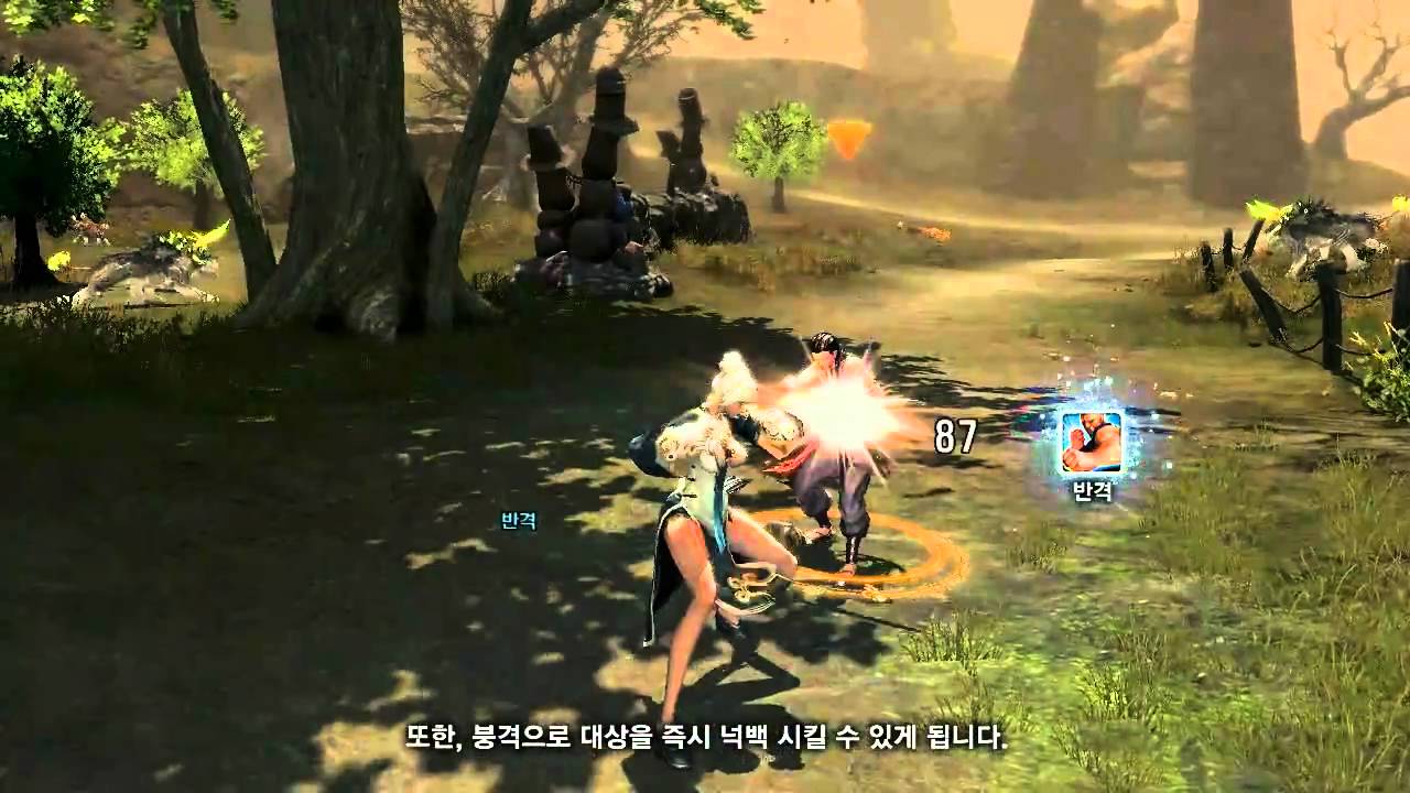 Blade Soul Kung Fu Master Youtube