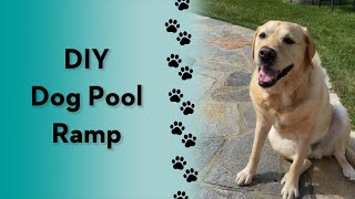 DIY pool ramp for my dog! #howto #tutorial #labrador