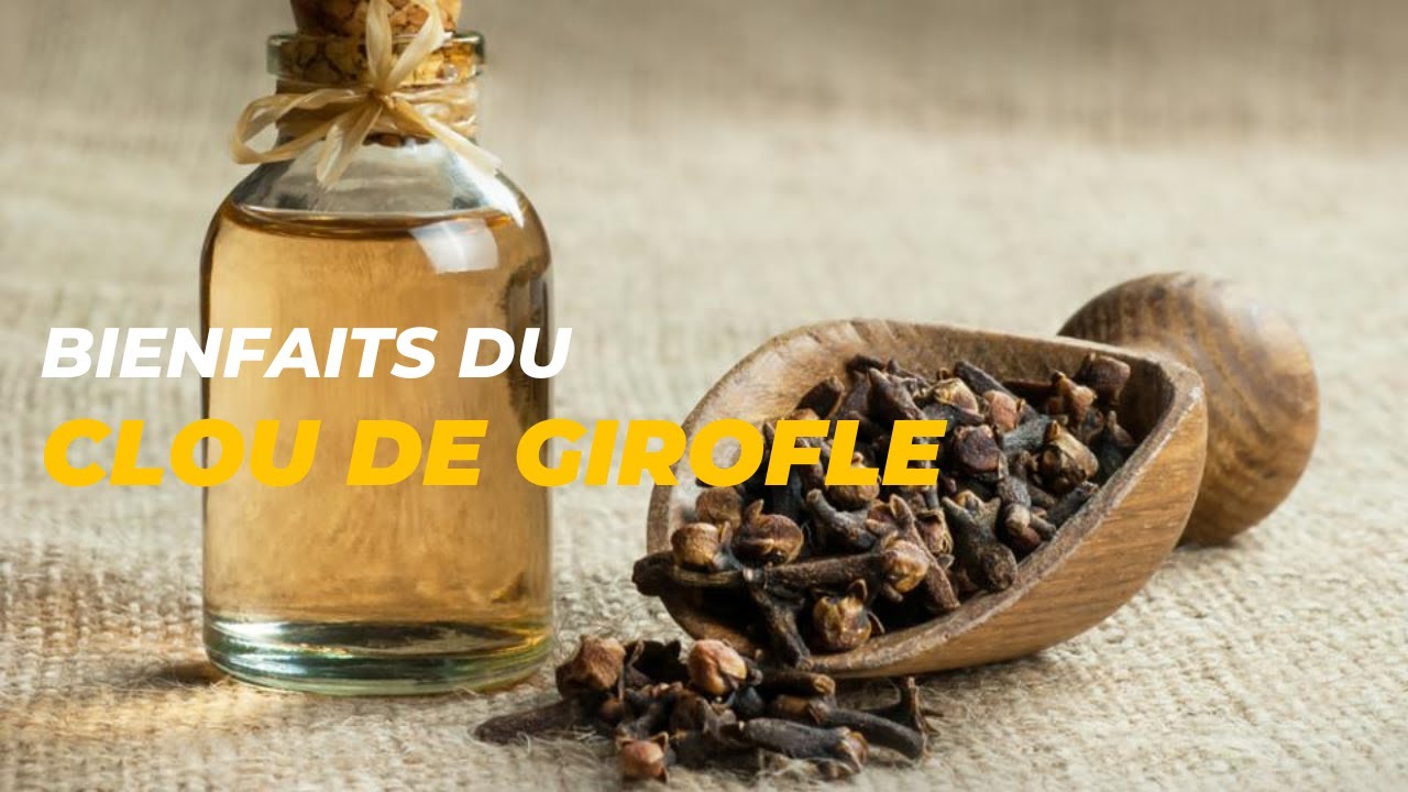 Les Bienfaits Du Clou De Girofle - YouTube