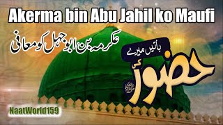 Hazoor ki bateen || Ekurma bin ABu Jahul ko Muafi || Islamic Stories || Hadees | Muhammad(PBUH) ||