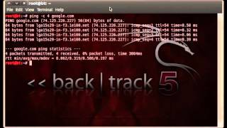Pings and Ping Sweeps