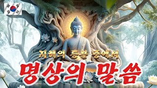 마음을 다스리는 명상의 시간 🕯️🕯️ 잠잘때 듣는 명상음악 🕯️🕯️ 엄주환 낭송