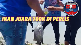 PESTA IKAN DI PERLIS