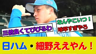 日ハム・ドラ1細野、1軍デビュー戦！155キロ+良コントロールw