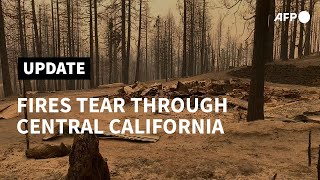 California forest after wildfires tear through Fresno county | AFP