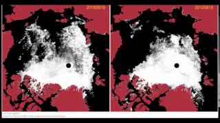 Arctic Basin sea ice concentration 2012- 2016 - 0819