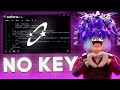 NO KEY Best Roblox PC Executor Solara Version 3 (2024 UPDATED)