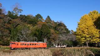 小湊鐵道 上総大久保駅 19レ キハ40