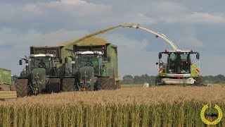 GPS Ernte 2017 mit Claas Jaguar 950 / Xerion 5000 / Hawe / Fendt