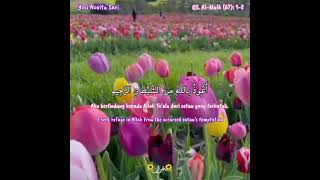 《﷽》 🌷QS. Al-Mulk (67): 1-2🌷 Yosi Nofita Sari
