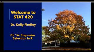 Ch16 - Stepwise Selection in R