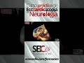 Curso Práctico de Ecocardioscopia en Neurología