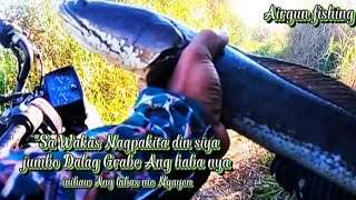 Mike tiksay fish Hunting 'Sa wakas Nagpakita din Siya Jumbo grabe Ang haba nya,inihaw Ang labas mo.