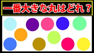 一番大きな丸はどれ？【正解率5%未満の難問】