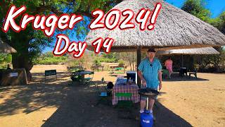 Day 14 – Kruger National Park! S1 – Ep 554