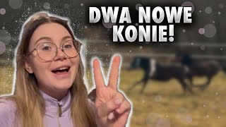 KUPIŁAM DWA NOWE KONIE! | VLOG #386