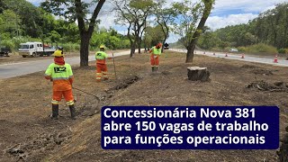 Concessionária Nova 381 abre 150 vagas de trabalho para funções operacionais