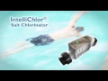 pentair intellichlor salt chlorine generator system how it works