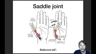 EP.14 ข้อต่อแบบต่างๆของมนุษย์ (Human joints)