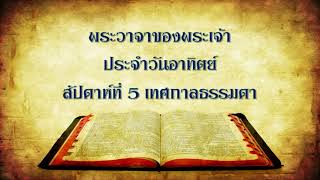 พระวาจาของพระเจ้า ประจำวันอาทิตย์ที่ 7 กุมภาพันธ์ ค.ศ. 2021 สัปดาห์ที่ 5 เทศกาลธรรมดา