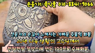 #손옹기다육식물(010-8841-9066) #100프로수제화분 #가볍고고급스런화분 #고전적이면서빈티지한화분 #Succulentpot