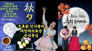 💃트롯퀸 민서품바 추석날의 열정에 열광하는 대천관객