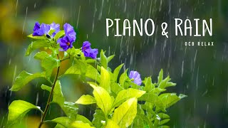 Rain Sounds & Relaxing Music 24/7 - Piano Music, Sleep, Study, Yoga, Stress Relief, Meditation