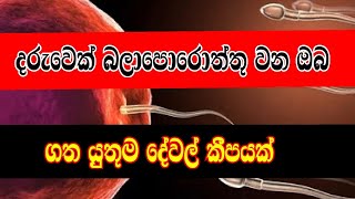 දරුවෙක් බලාපොරොත්තු වන ඔබ ලබා ගත යුතු ආහාර