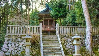 葛木水分神社 奈良 / Katsuragimikumari Shrine Nara