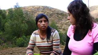 Cambio Climático: Hortalizas, una alternativa para la Seguridad Alimentaria - Perú