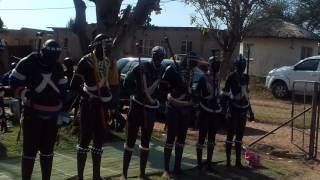 Ndebele - Amasokana koMusa Ngekosini