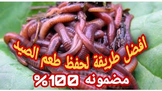 افضل طريقة لحفظ دود الصيد ( الطعم ) طريقة مضمونه 100% لطعم الصيد مش هتندم