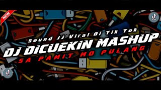 DJ DICUEKIN MASHUP X SA PAMIT MO PULANG 🎧 REMIX VIRAL TIK TOK TERBARU 2024