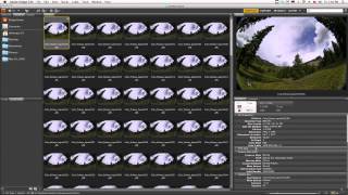 AE Quicktips #8: Camera Raw Sequences