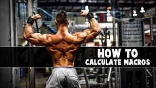 How to Calculate Macros | Tips to Back Training | Superset City