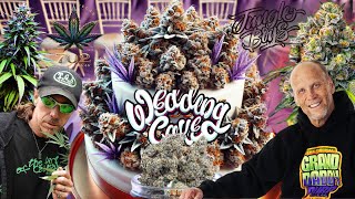 Wedding Cake Strain 🎂 | Top 10 Famous Bag Seeds \u0026 A Tribute to Cannabis Legends