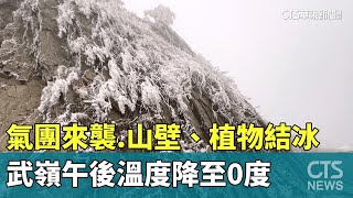 氣團來襲　武嶺午後溫度降至0度　山壁、植物結冰｜華視新聞 20250108