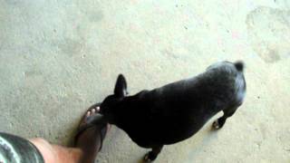 DSCF5645.AVI