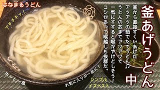 釜あげうどん中【一息くん#835】はなまるうどん