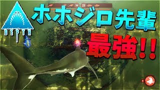 【Depth】最強のサメ、ホオジロ先輩が人間の肉を骨までしゃぶる #3【KUN】